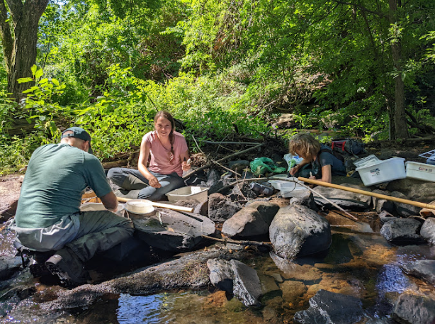 Back in Black (Brook)