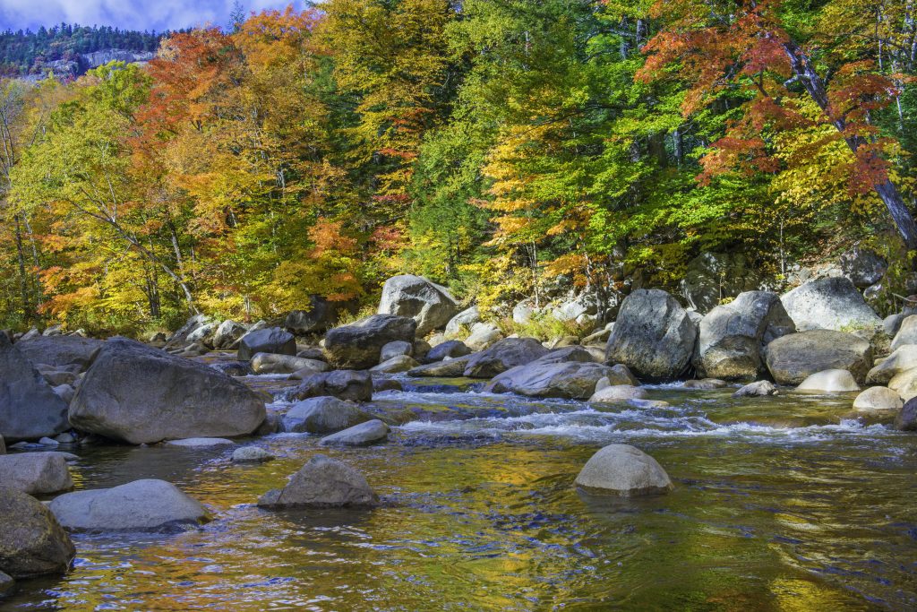 Fall on a river with colourful leaves