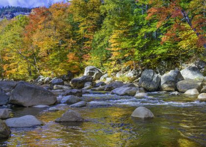 From the River Bank: President’s Message—late Fall 2022