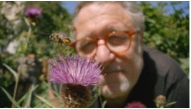 My Garden of a Thousand Bees—a special (and free) film for you.