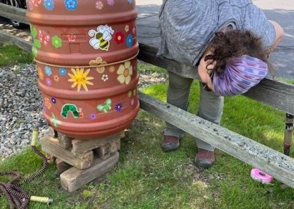 Notes from the Winnicut Raingarden: gardening for water quality