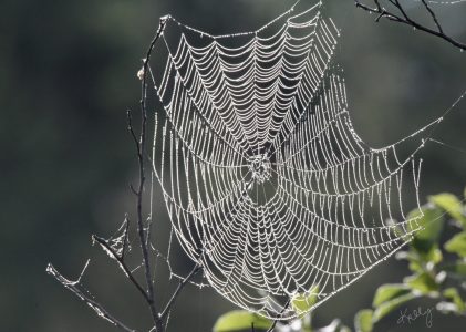 From the Riverbank: President’s message—late summer 2025